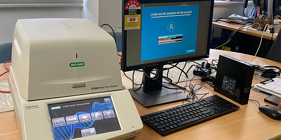 Pandemic driving job decline: World Bank