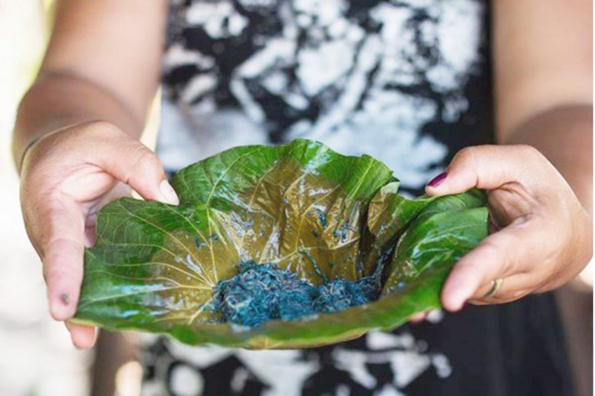 Palolo predicted to rise on Sunday