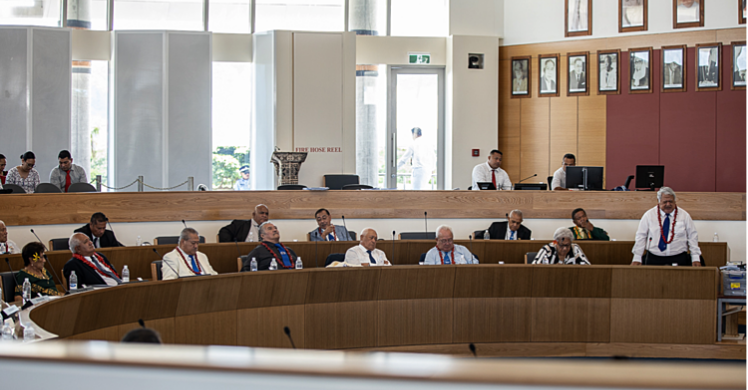 Review laws to pull into line village councils