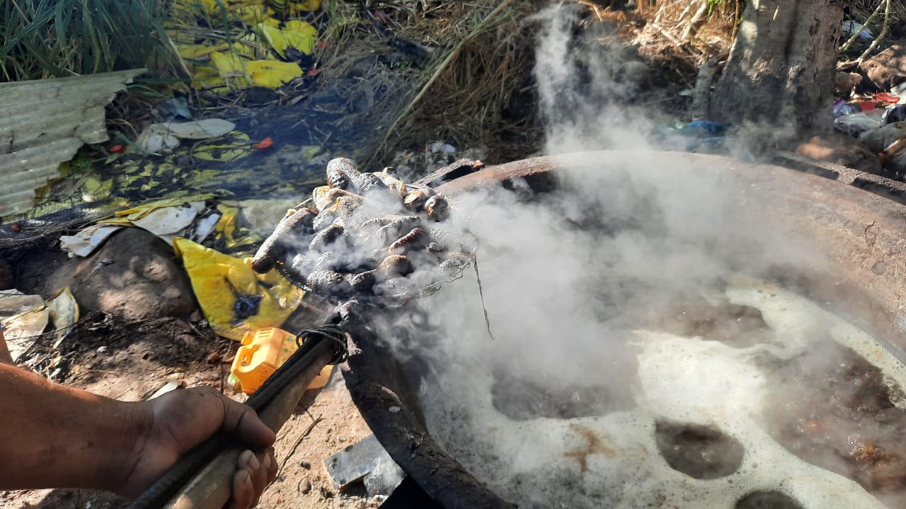 Sea cucumber investigations continue