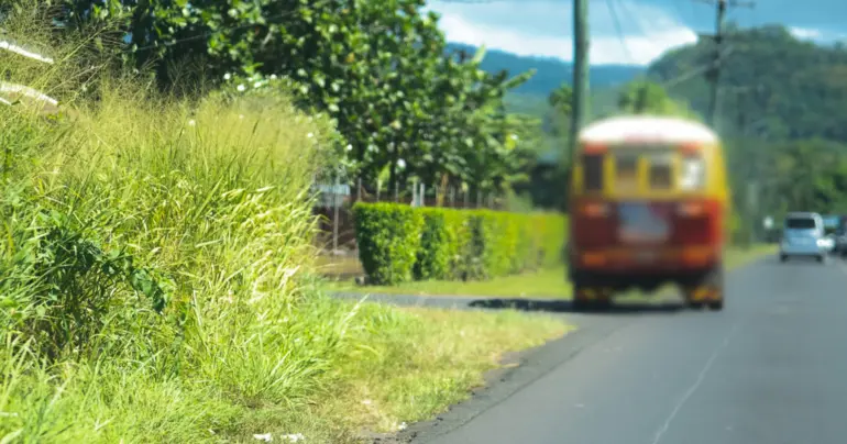 Teenager dies after being hit by a bus