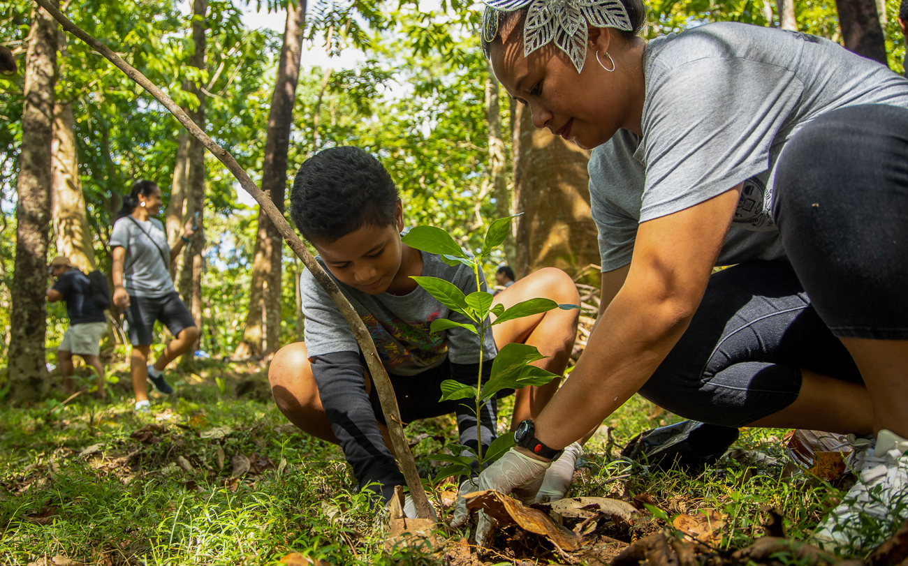 National 3 Million Trees Planting Campaign launched