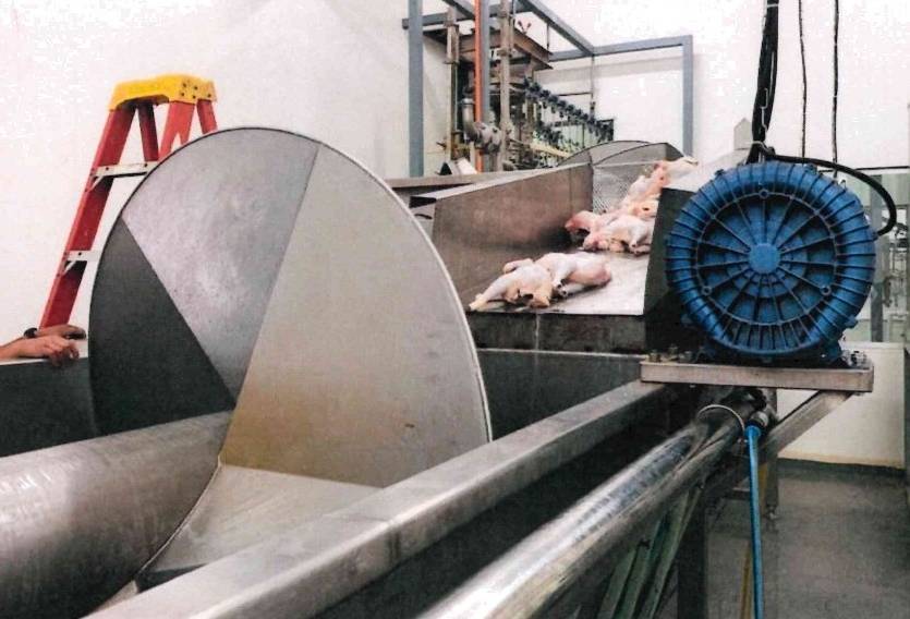 Samoa Observer | Chicken broiler processing factory opens