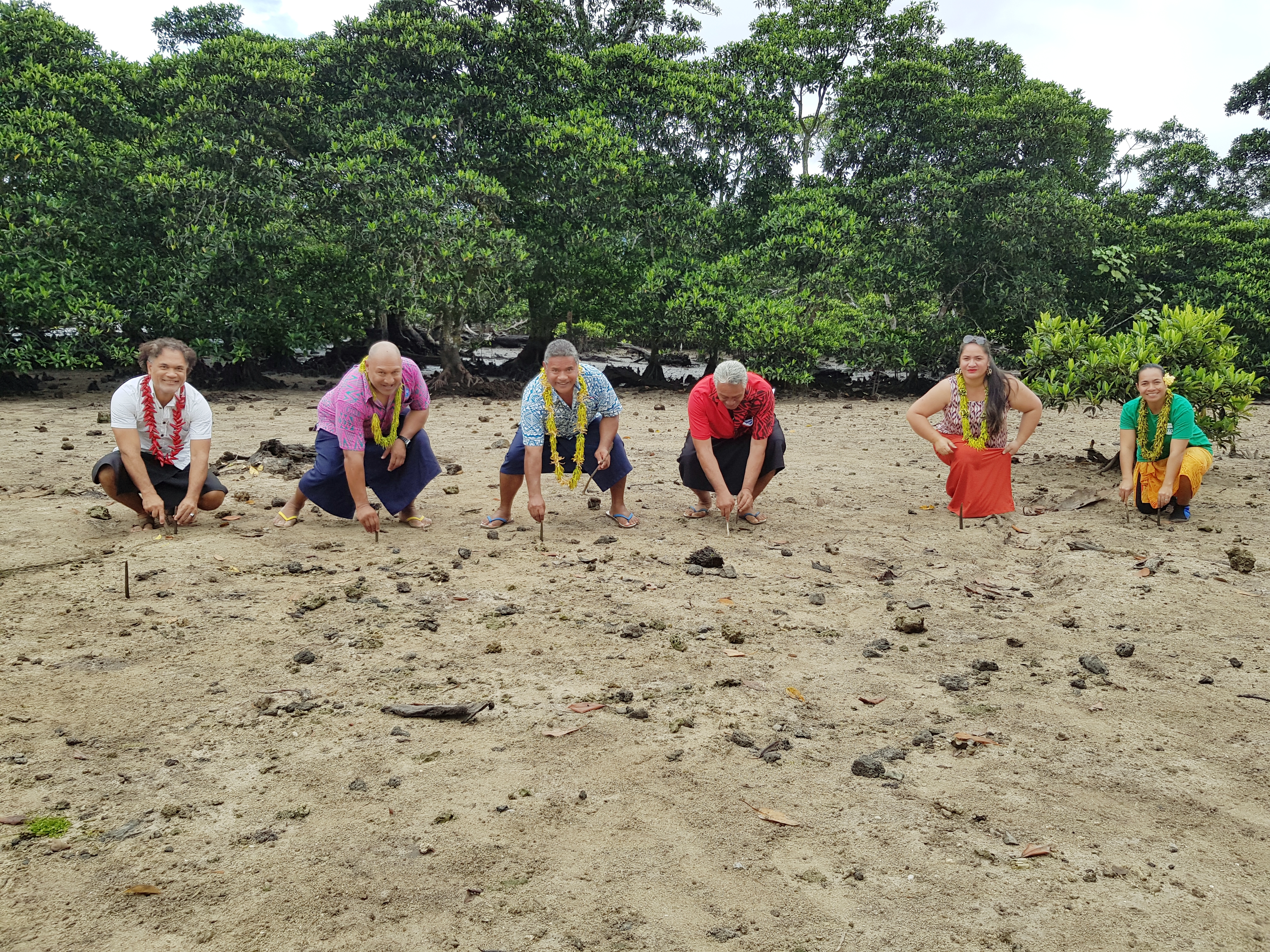Village aims to replant 10,000 mangrove seedlings