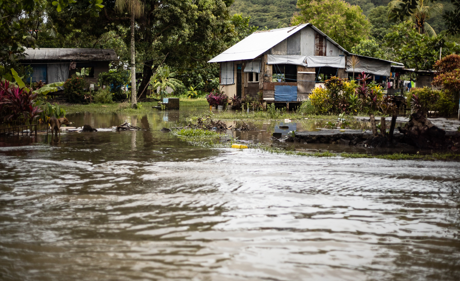 Govt. activates Emergency response as Samoa braces for cyclone Wasi 