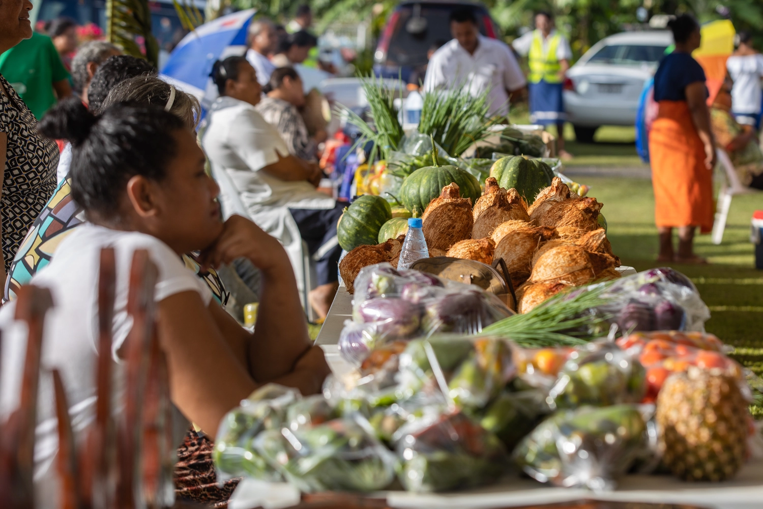 Talomua has not been cancelled