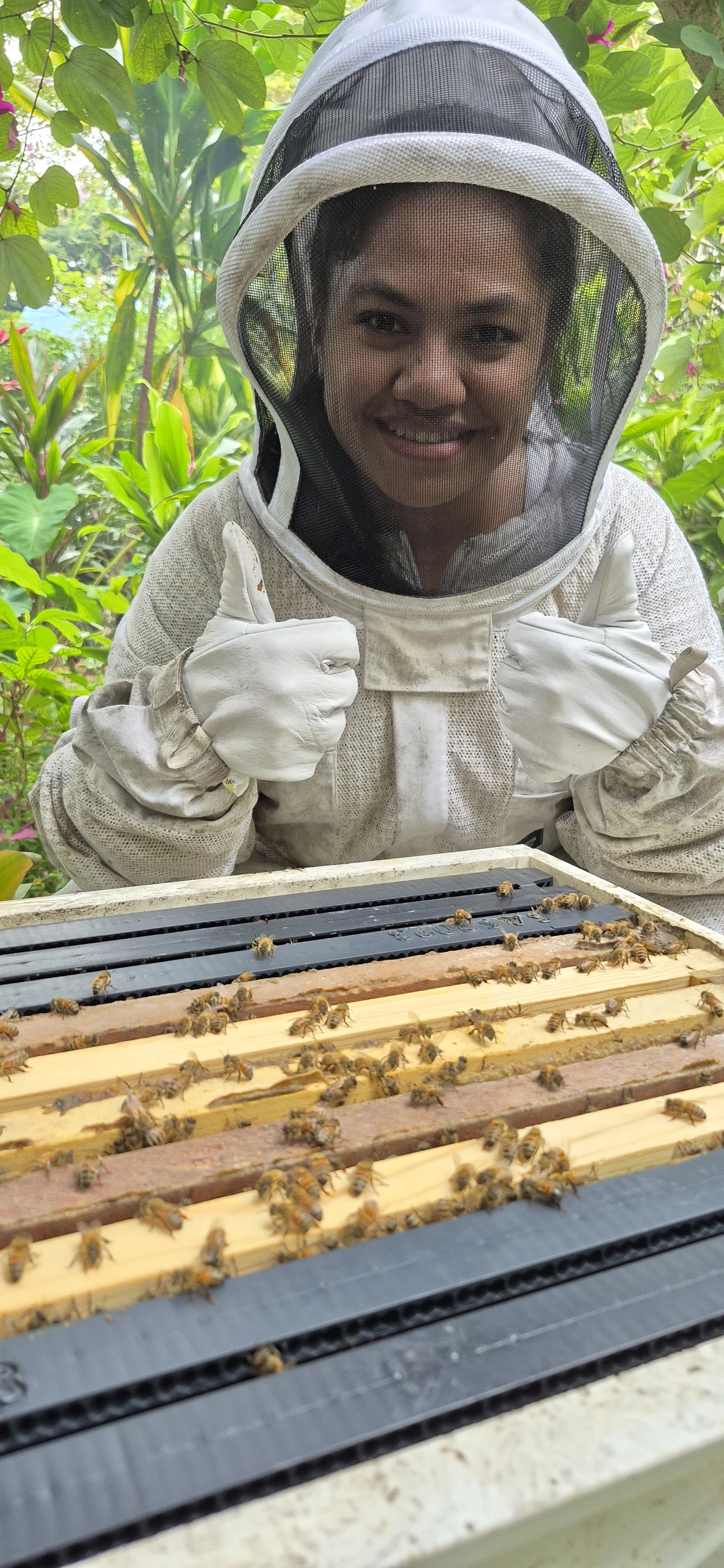 Local beekeeping buzz grows 