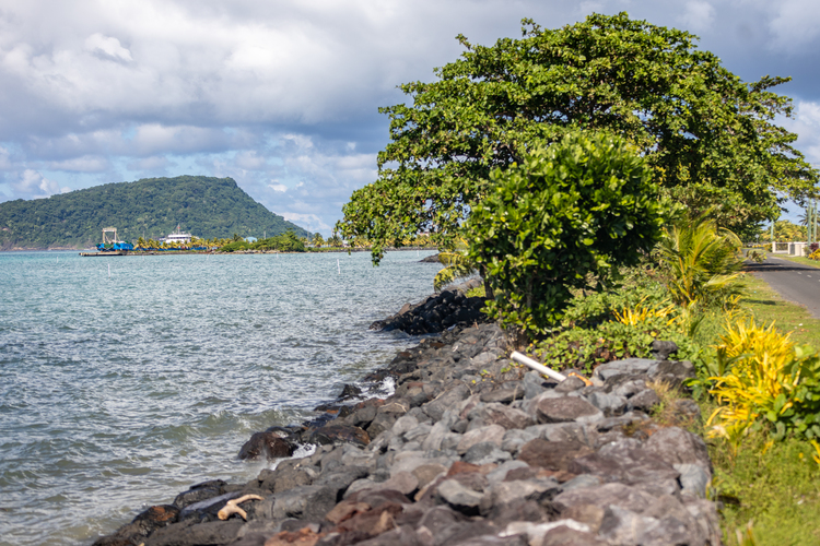 Australian reef owners head to Samoa