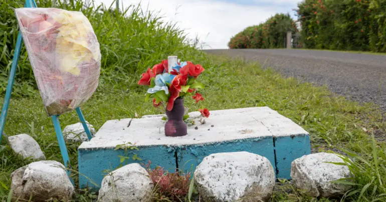 Helping to catch a killer on the loose