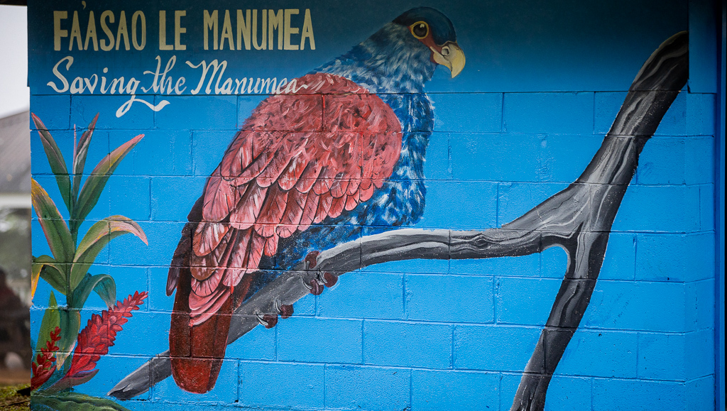 Manumea campaign informs Samoans about national bird