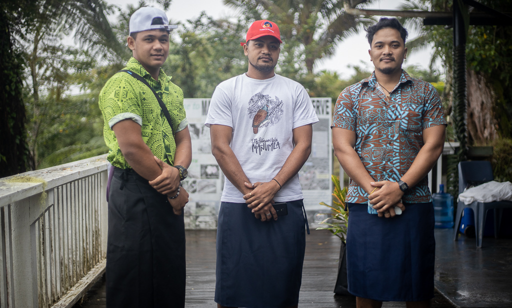 Artists share desire to save the manumea