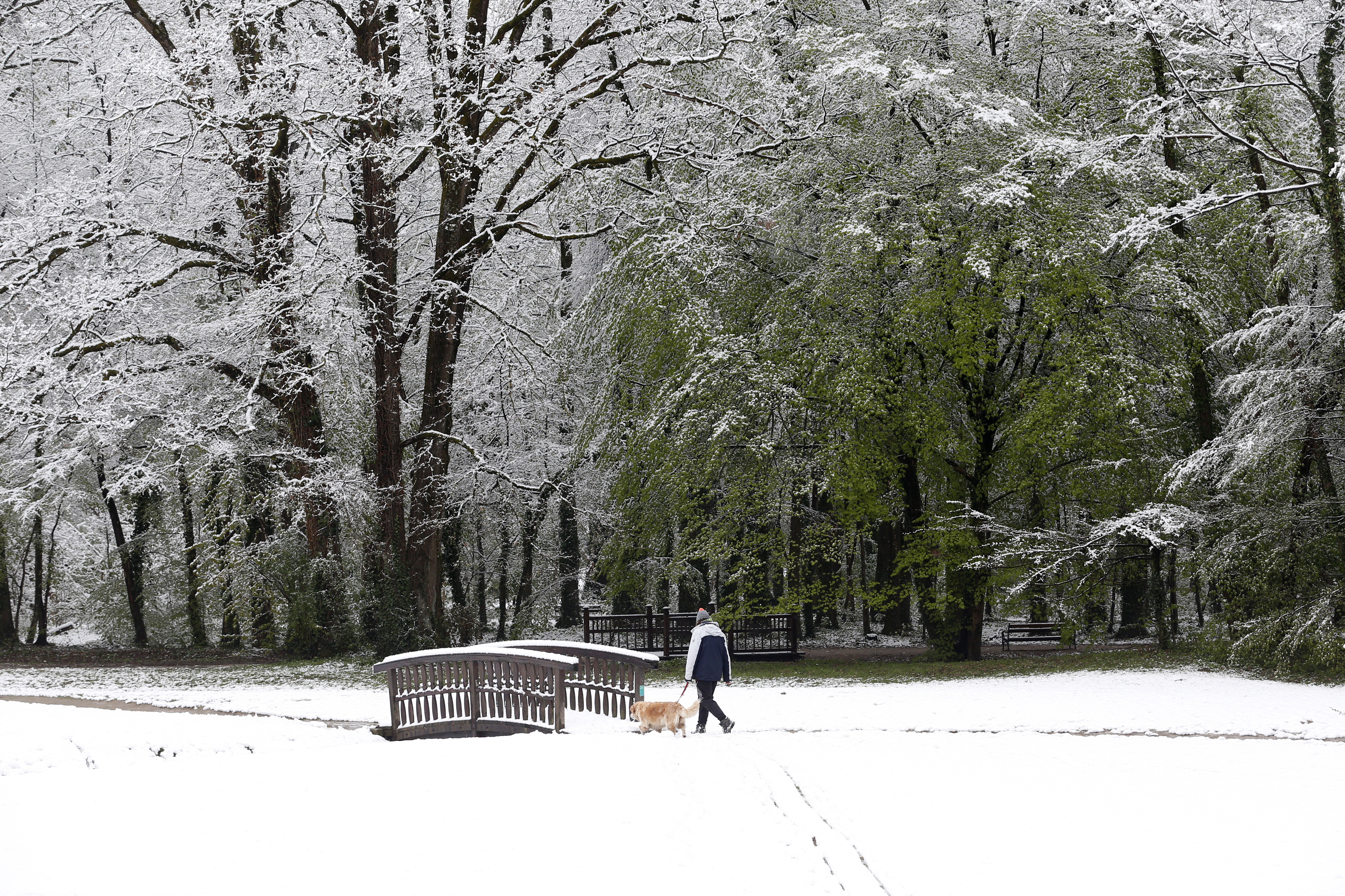 Late snow storm snarls traffic in Croatia, Slovenia