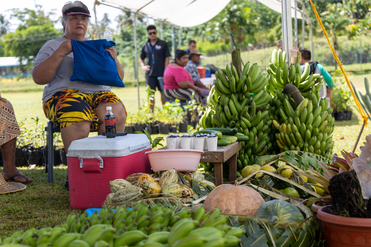 Following a whole food plant based diet