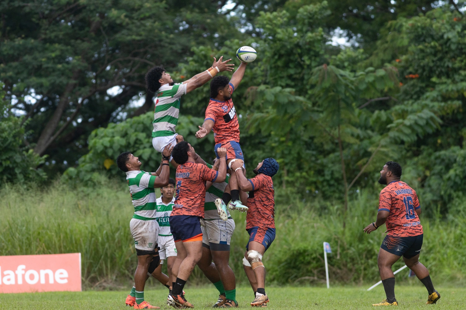 Vaimoso end season undefeated