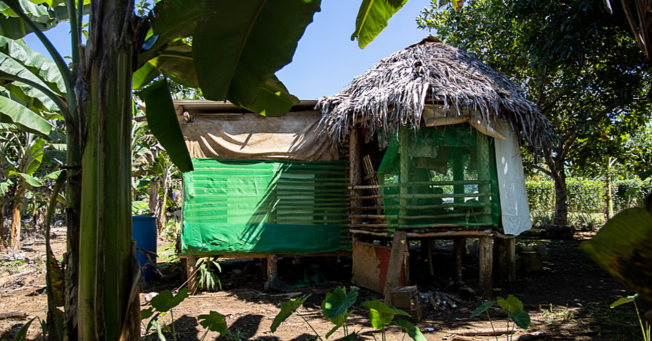 Father shares family's everyday battles