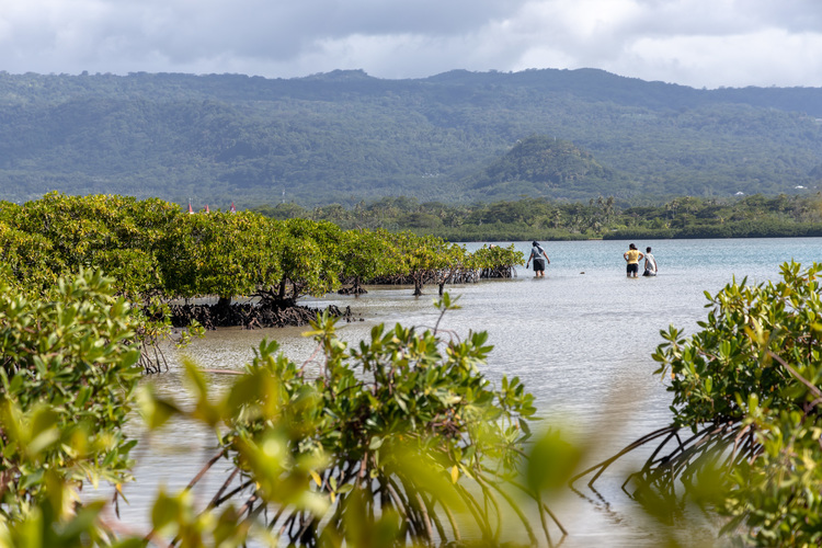 New road could impact environment