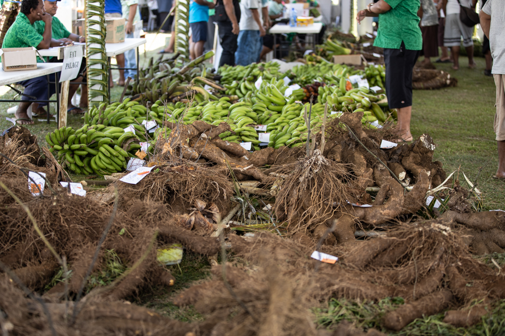 Survey reveals increase in agricultural food supplies 