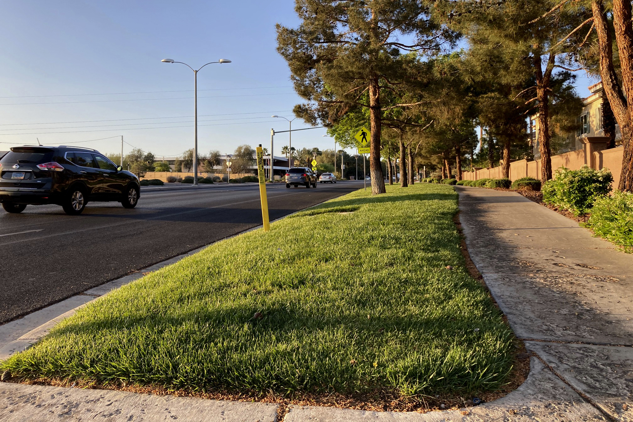 Drought-stricken Las Vegas proposes grass ban for new homes