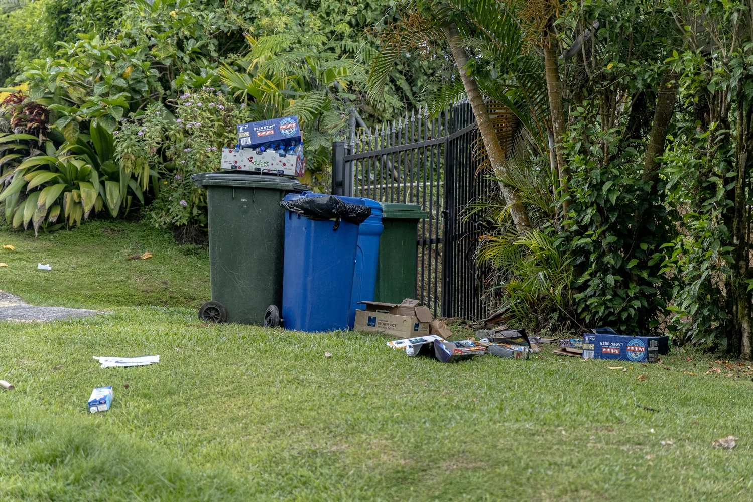 Uncollected rubbish poses health risks