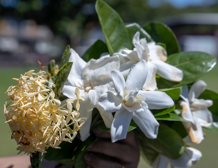 Would you like flowers with that?