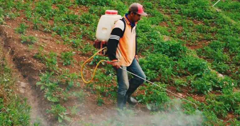 Justice Vui's letter to M.A.F.: No evidence to ban paraquat - Rubbish!!