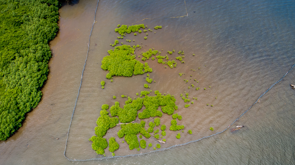 Samoa to reduce greenhouse gas emissions