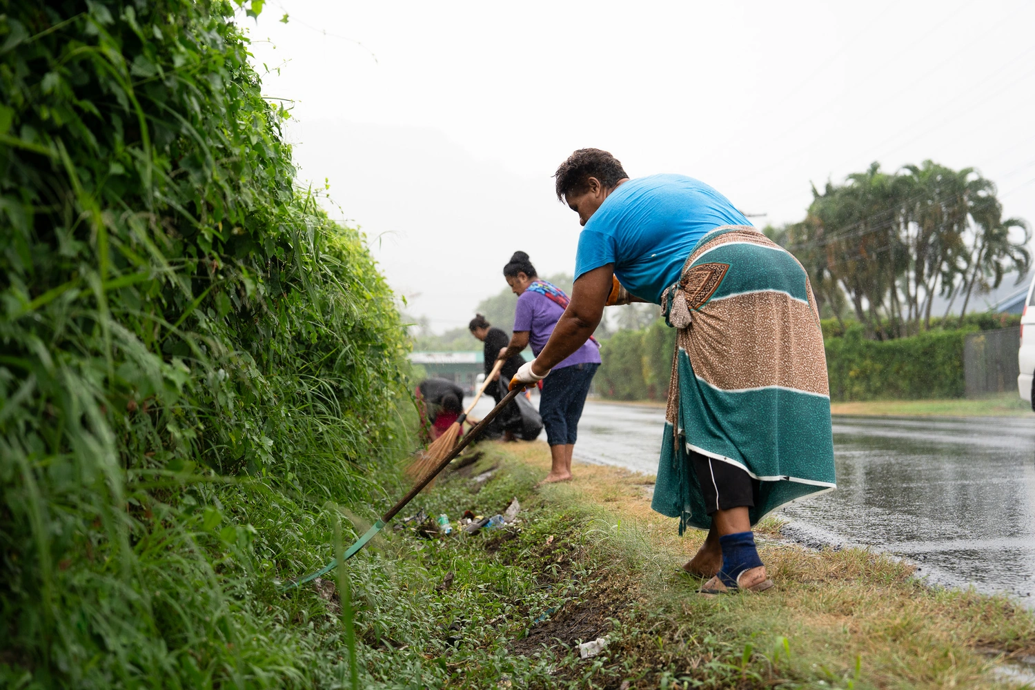 Seven hospitalised, 132 new dengue cases