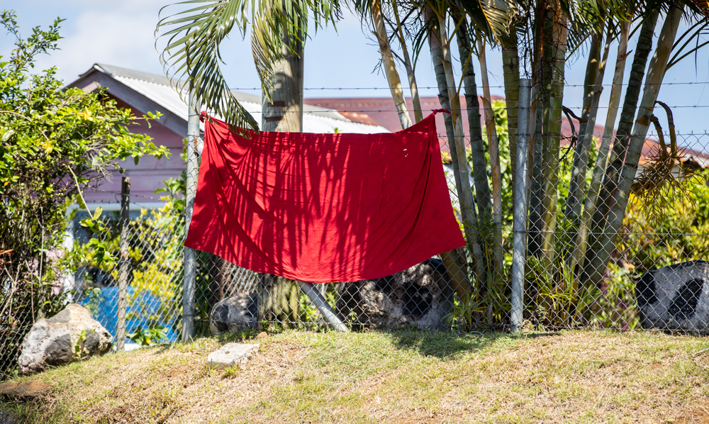 Mass vaccination campaign kicks off