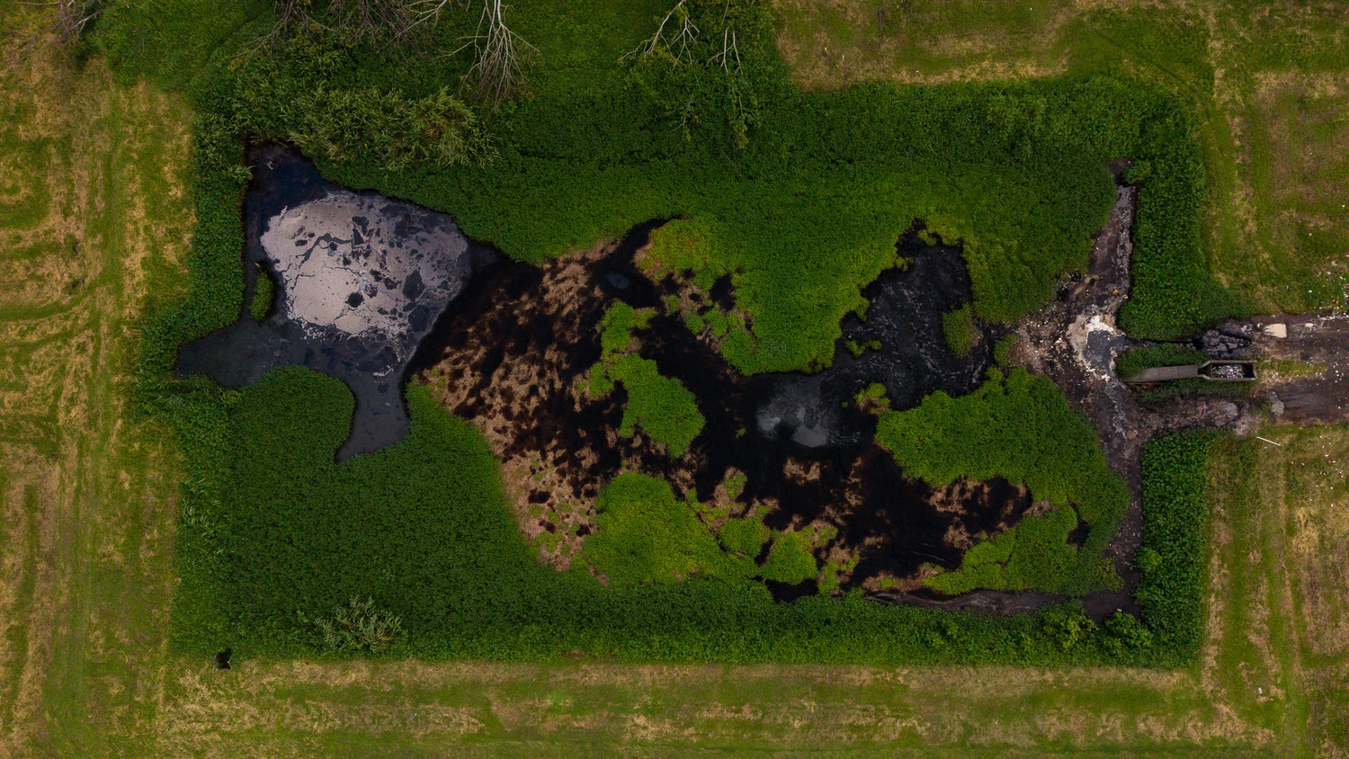 Images show oil and sludge contamination at Tafaigata 