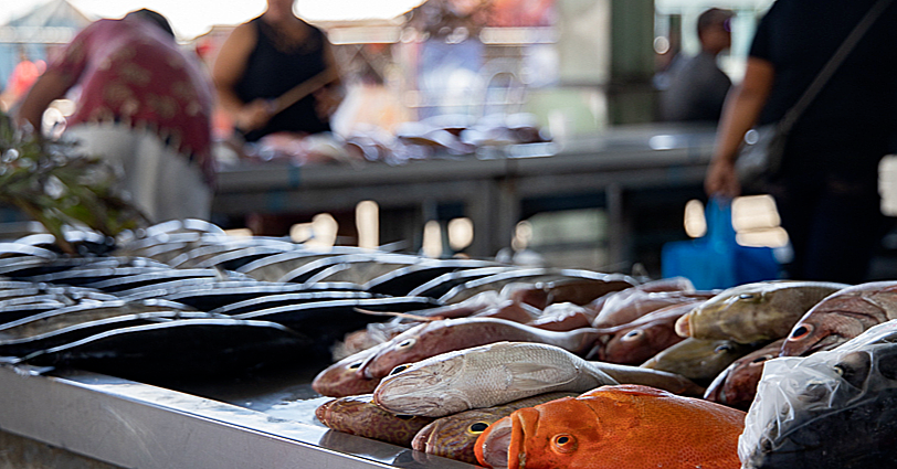 Local exporters face challenges during pandemic