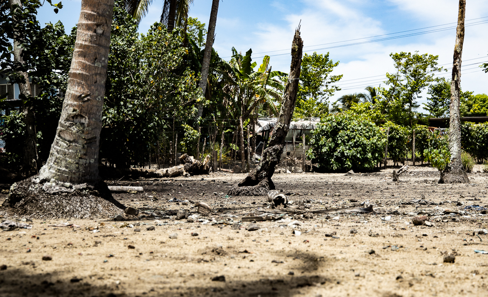 There is legal solution to climate change: students