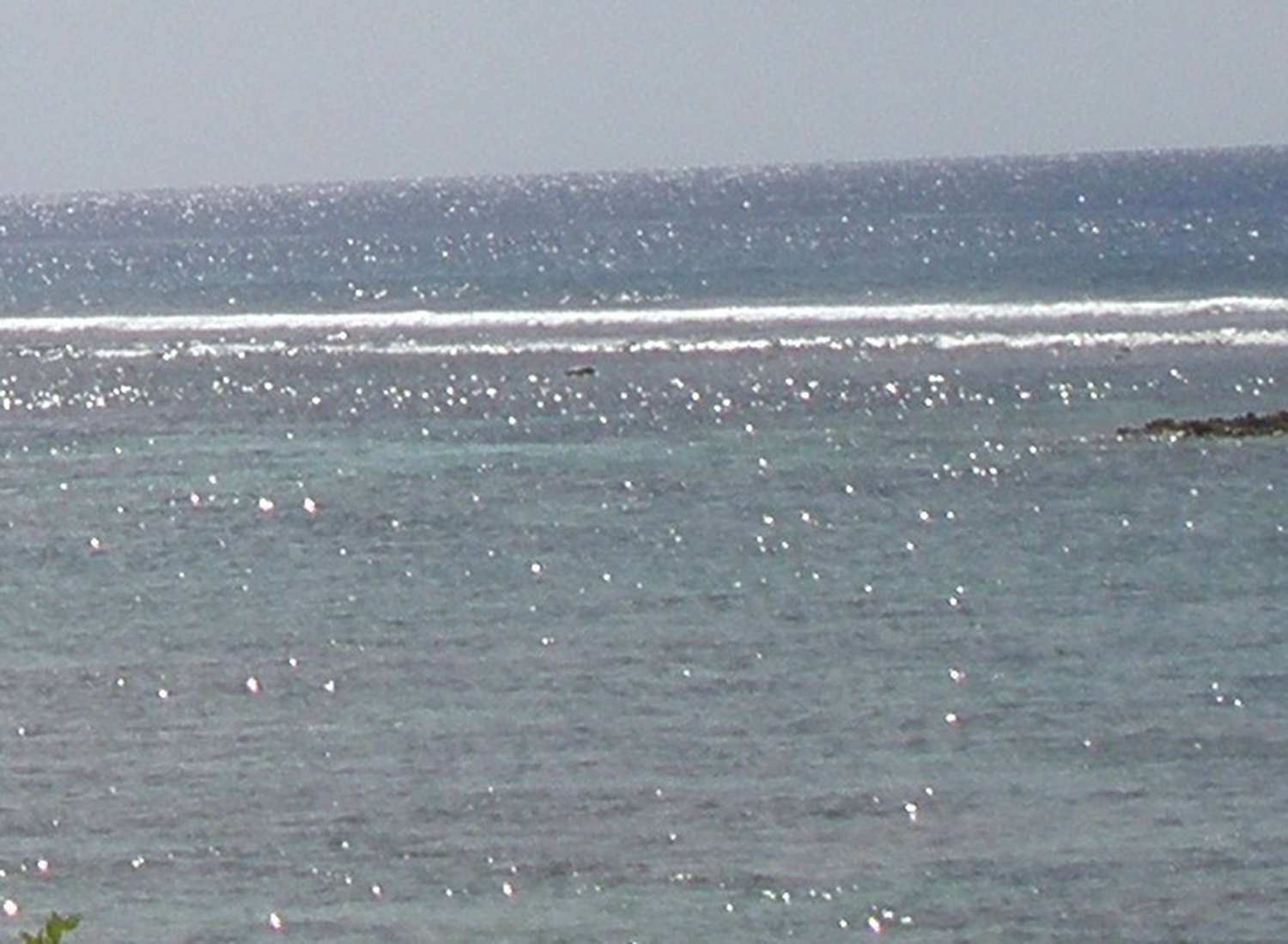 Boy, 17, charged with attempted murder in school shooting