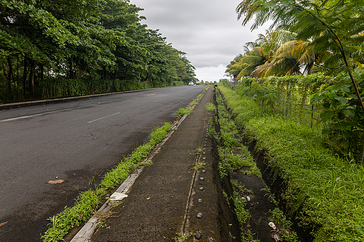 Abuse of public funds in grass cutting scams