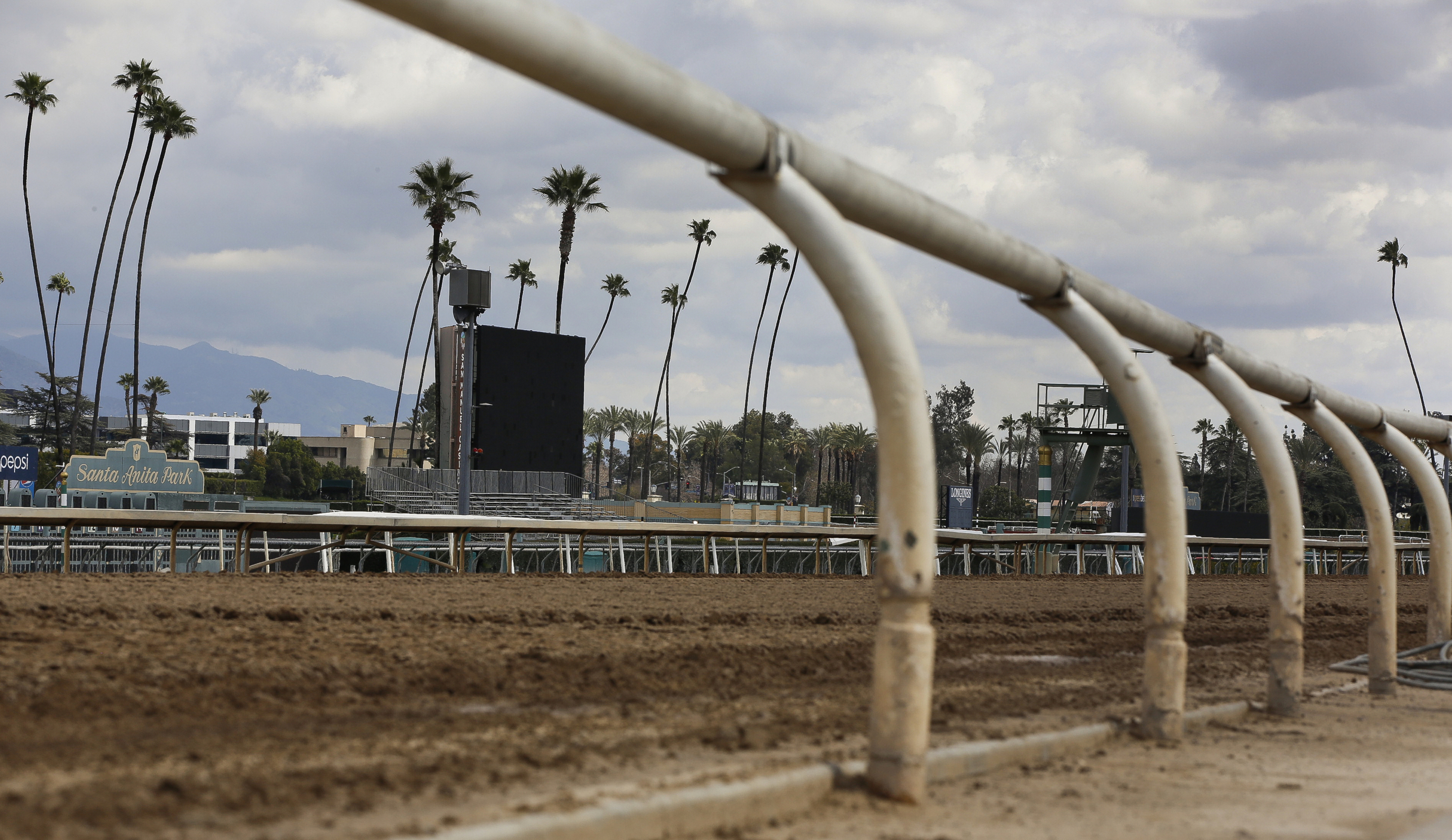 22nd horse suffers fatal injuries at Santa Anita