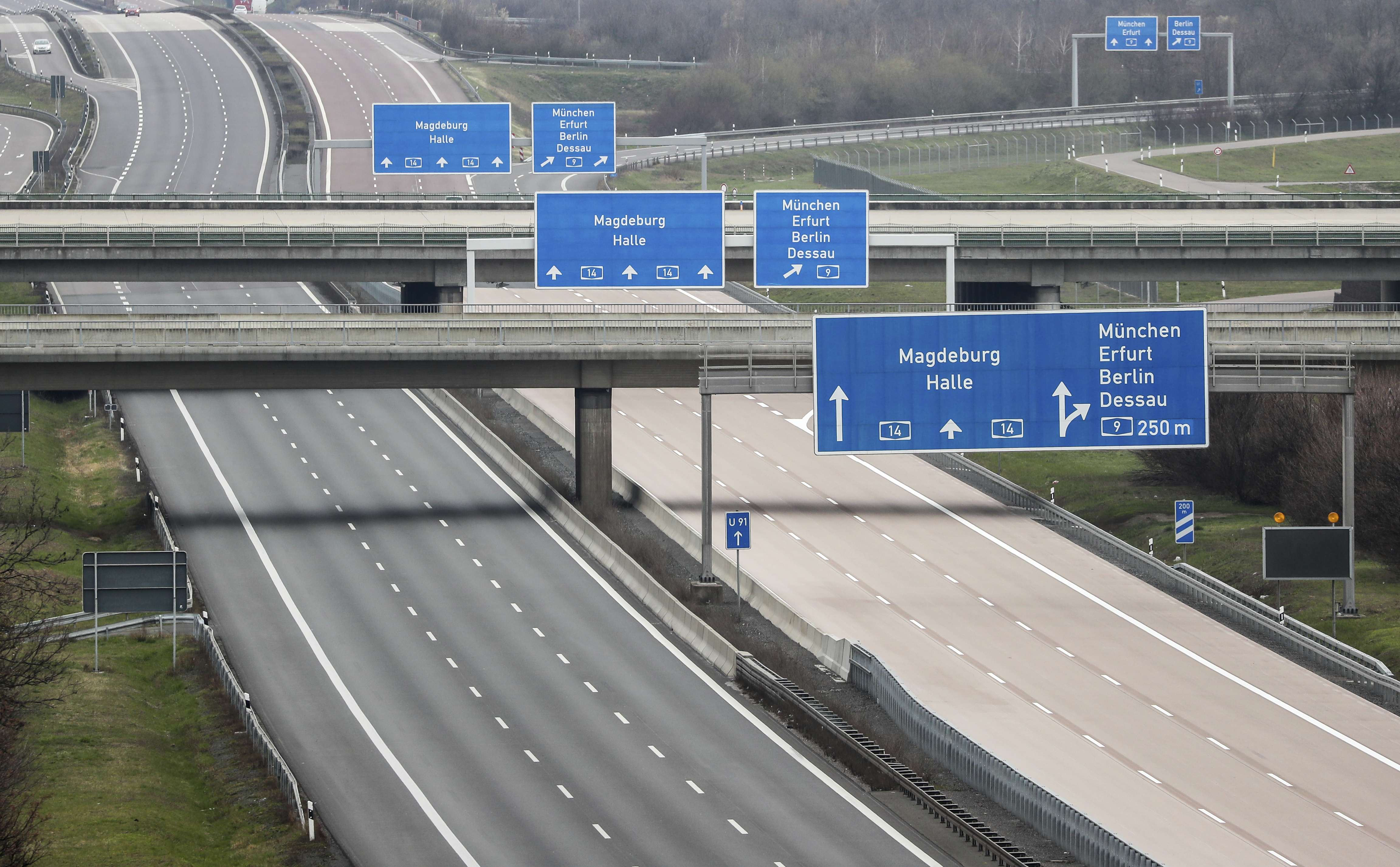 The Latest: Dog-walking ban to fight virus causes outrage 