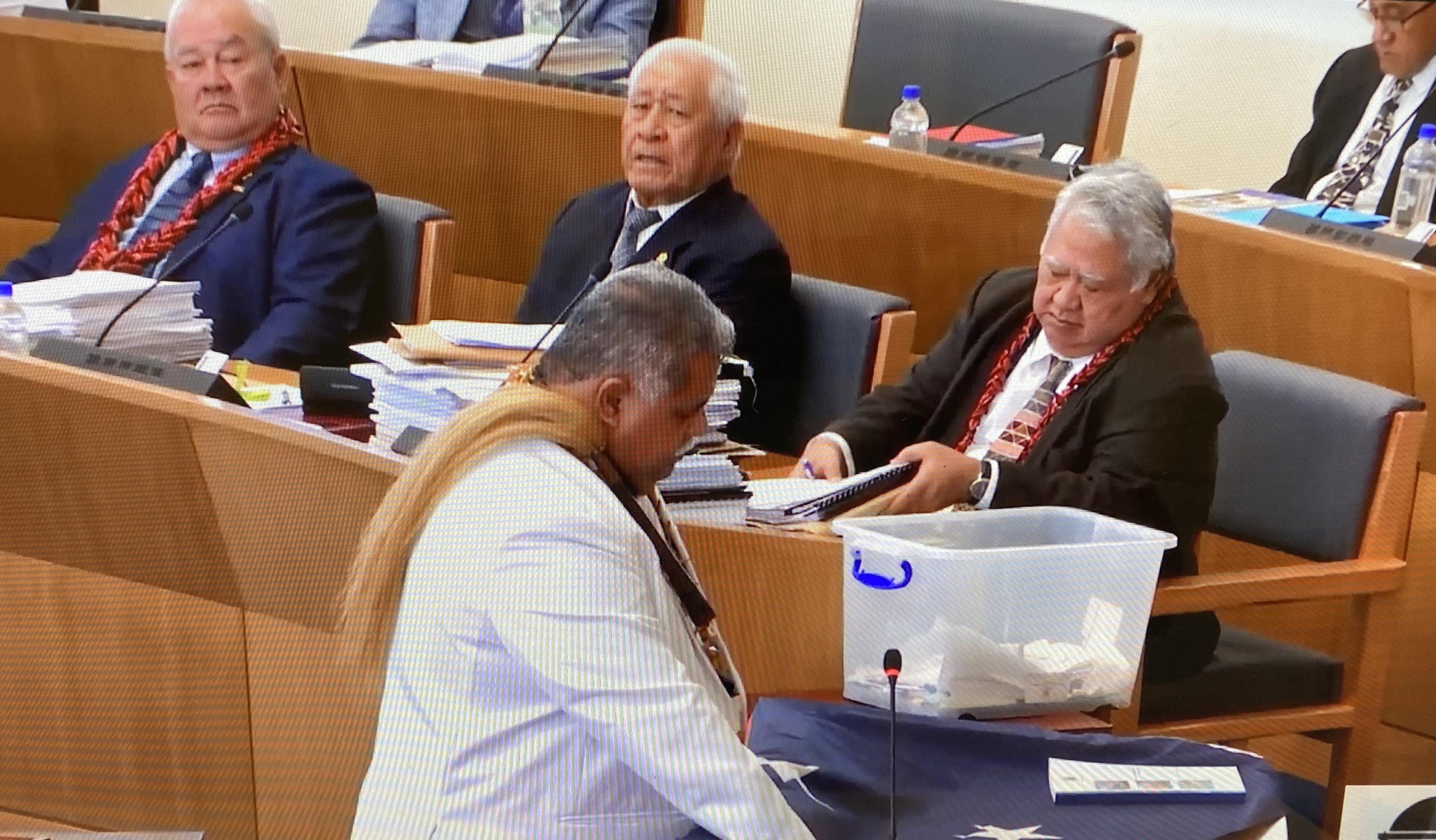 Speaker objects to La’aulialemalietoa reference, La’auli takes oath twice 