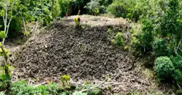 The megaliths of Samoa