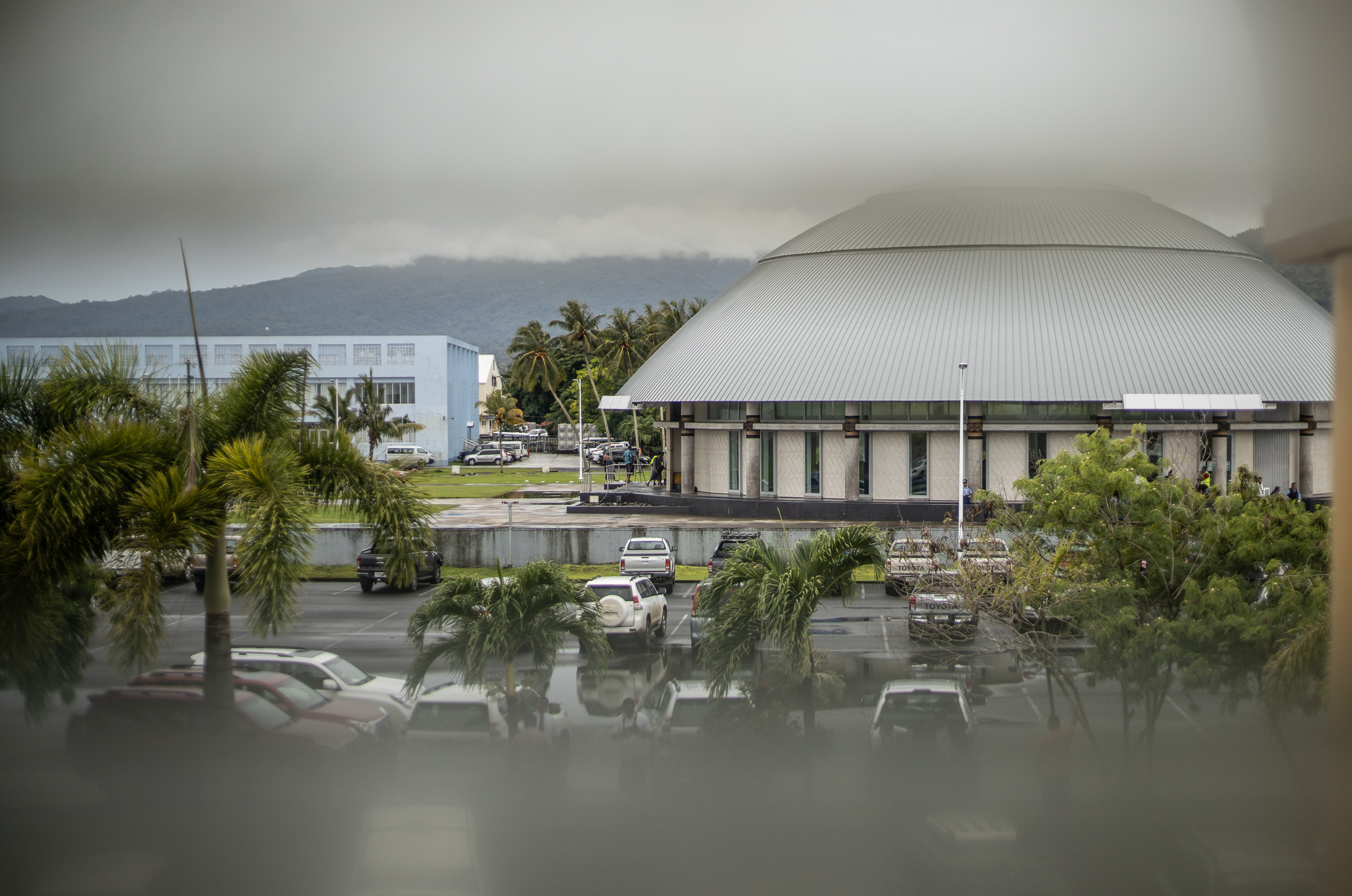 Petitions have been lodged: what now?