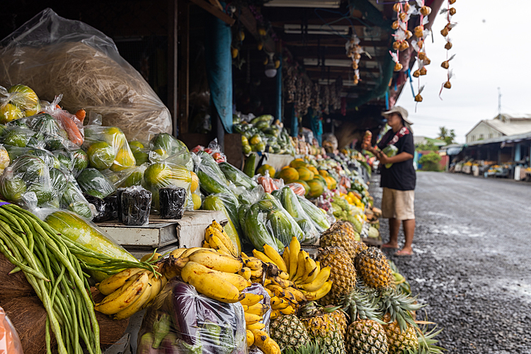 Farmers Association concerned at sector plan