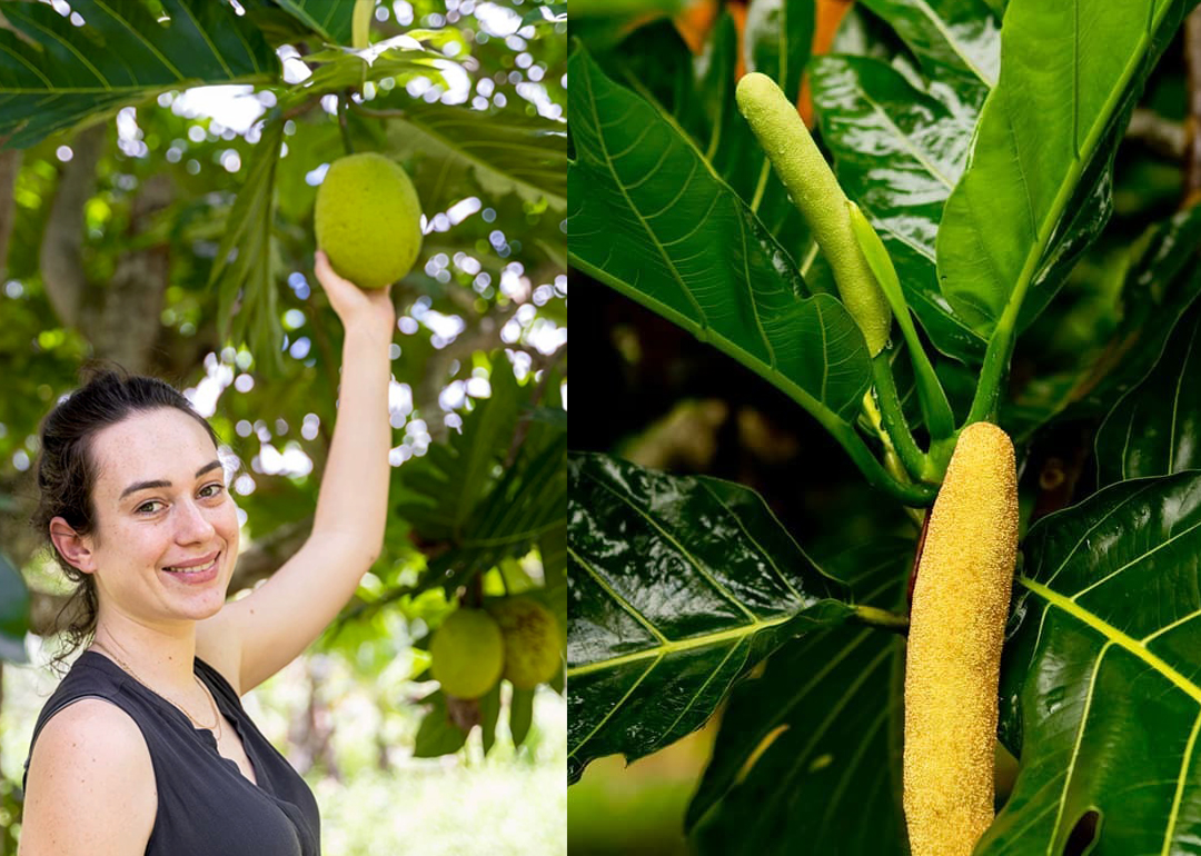 Deadly riots rock Zimbabwe's capital as vote results delayed