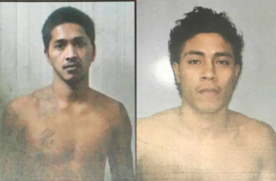 No. 8 Warren Whiteley named new Springboks captain