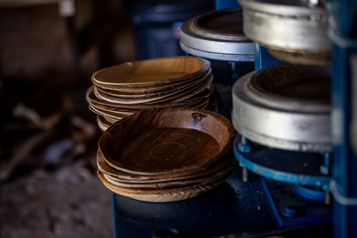 Palm leaves used in Samoa’s first plate business