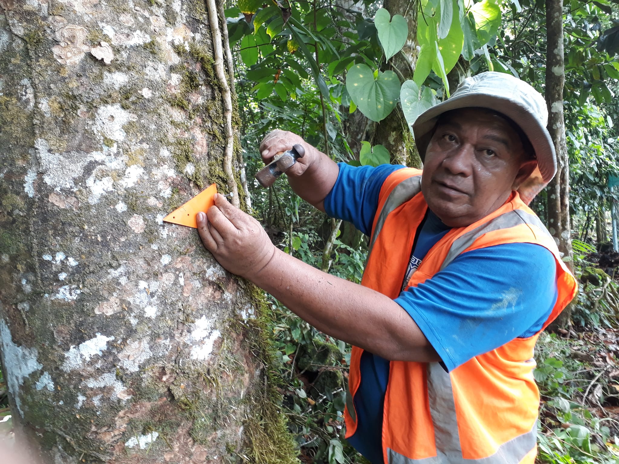 Work on new Falealupo trail nears completion 