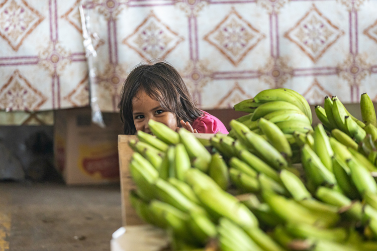 Samoa still reliant on imported food