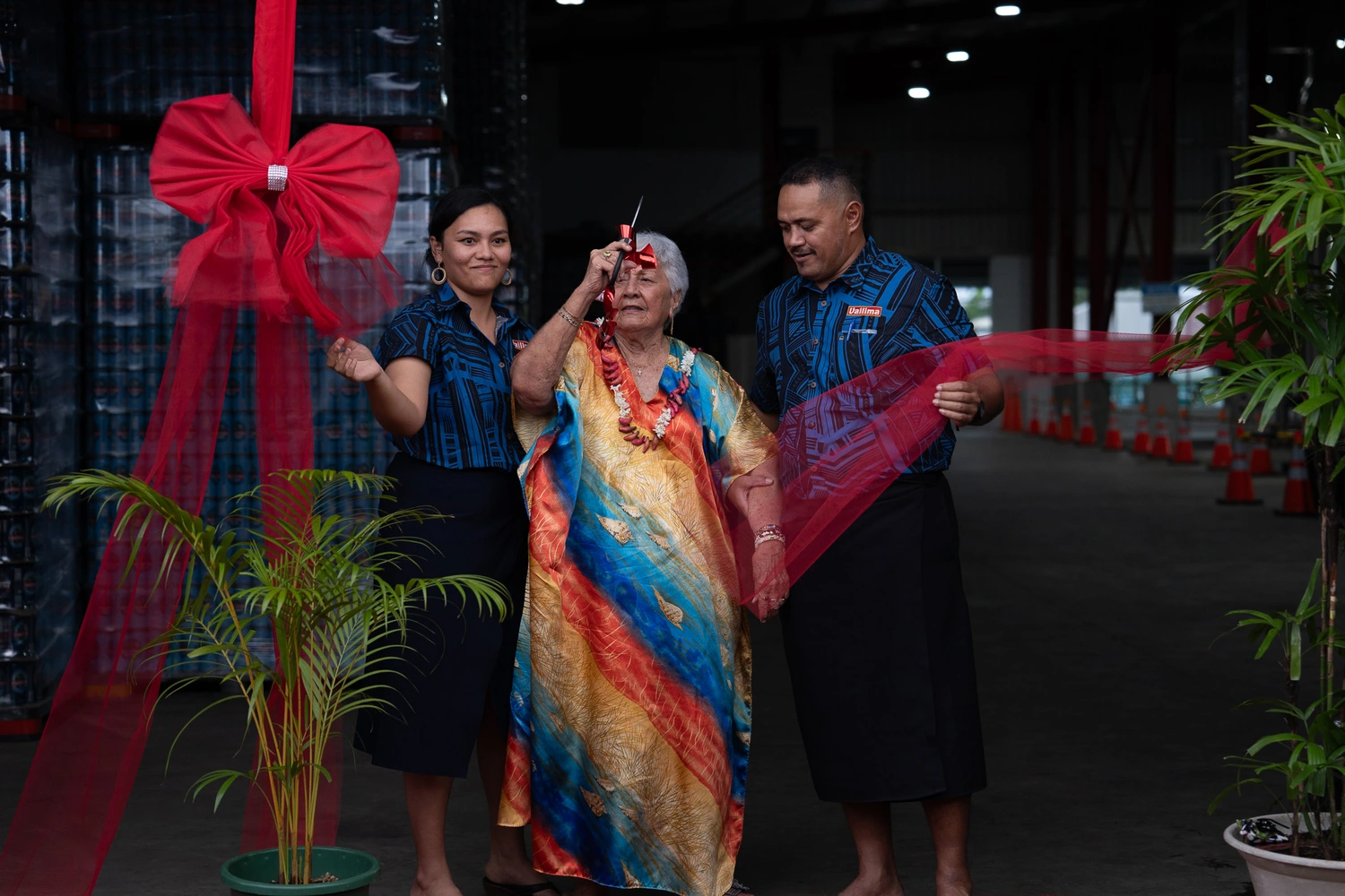 Year in Review: November 2024