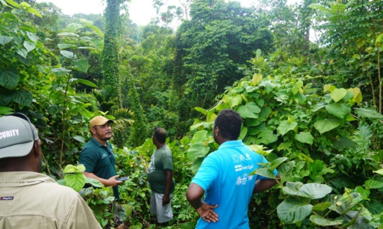 Pacific Invasive Species targetted with natural enemies