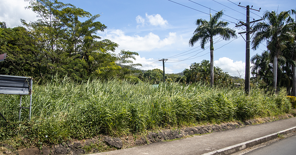 Frankie's newest expansion in Lelata 