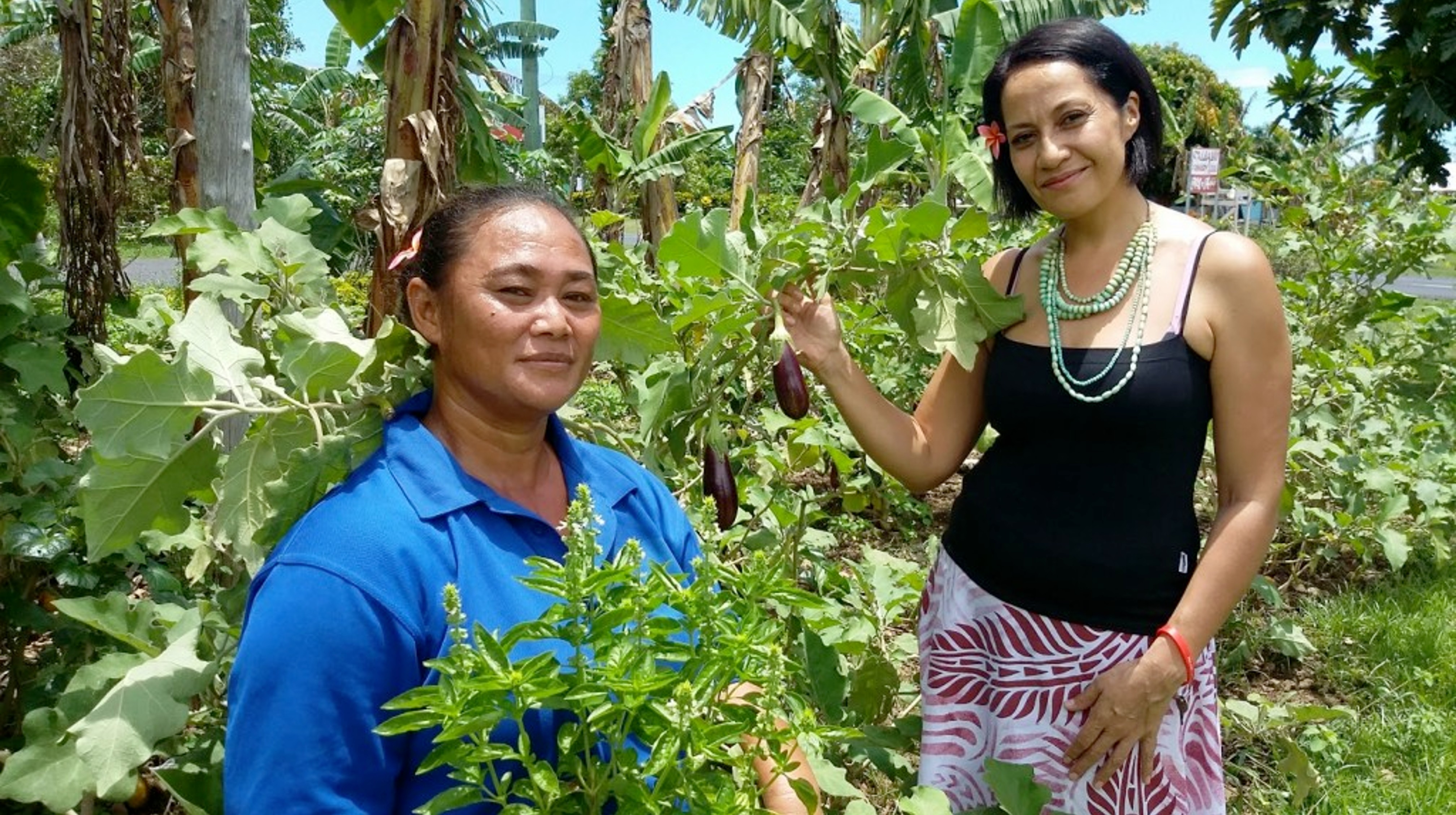 Samoan chef in 'celebration of Pacific cuisine'