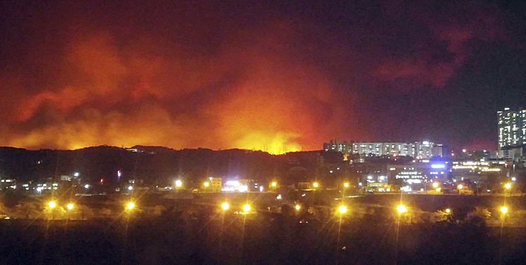 Coastal forest fire kills 2, destroys 120 homes in S. Korea