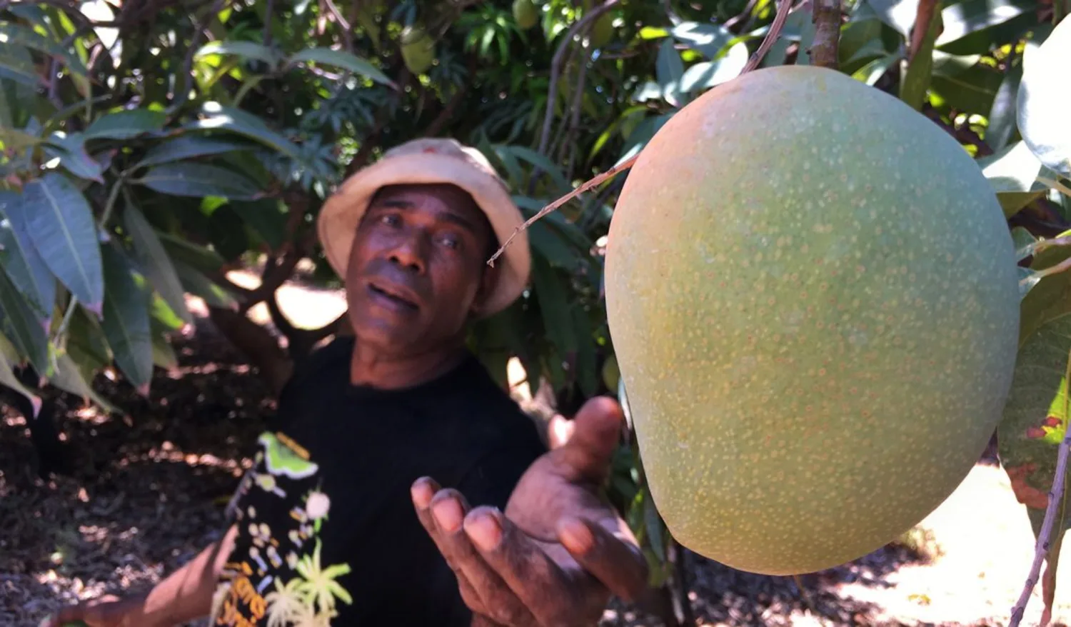 The falling demand for seasonal workers